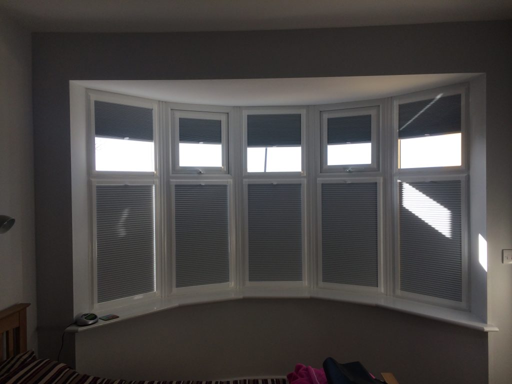 Blackout Pleated Blinds